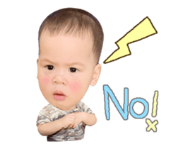 249904561