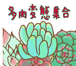 24996187