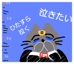 250057555