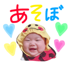 25012068