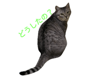 25025469