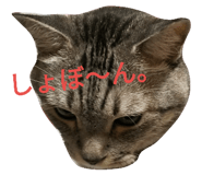 25025470