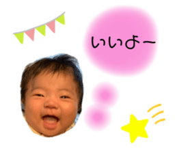 250311311