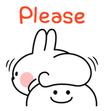 25036698