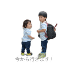 25050537