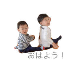 25050540