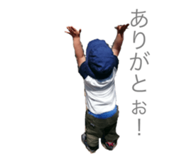 25050550