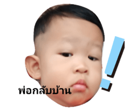 250515404