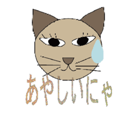 2506369