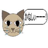 2506377