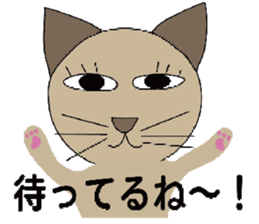 2506394