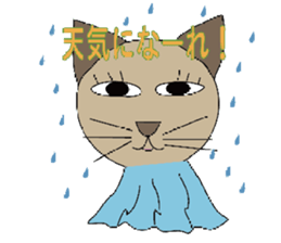 2506398