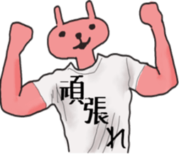 2506585