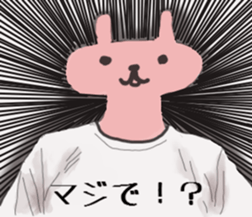 2506587