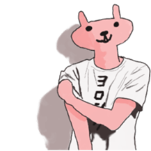 2506602