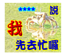 250667189