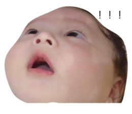 25067203