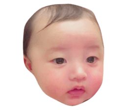25067213