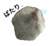250689670