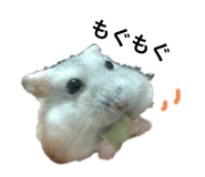 250689671