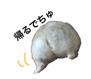 250689672