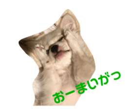 250702420