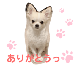 250702425