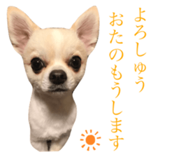 250702435