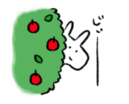 250707284