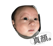 25074386