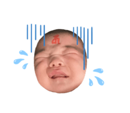 250762402