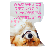 250772993