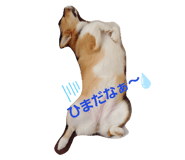 250772996