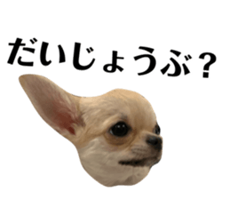 250783674