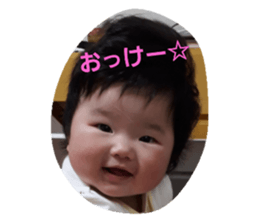 25080429
