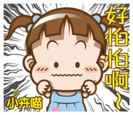 250805566