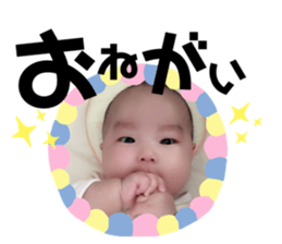 250820340