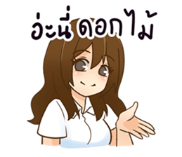 25082191