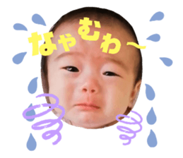 250823539