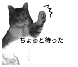 250904037
