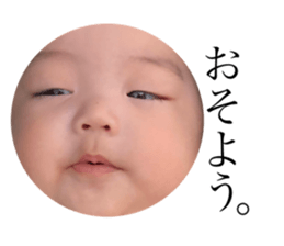250966511