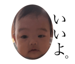 250966516