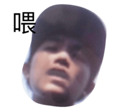 250981538