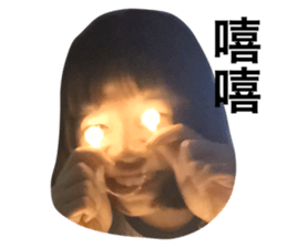 250981554