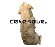 250990219