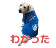 250990220