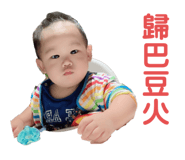 251081490