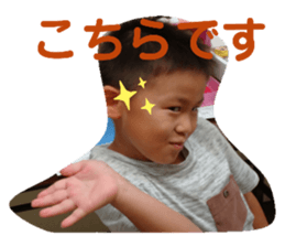 251091173