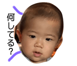 251129763