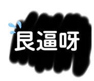 251130523